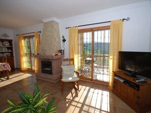 TV, fireplace, DVD player