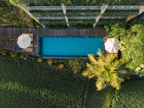 Outdoor pool, pool umbrellas, pool loungers - Byasa Ubud (Ubud)