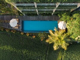 Outdoor pool, pool umbrellas, sun loungers