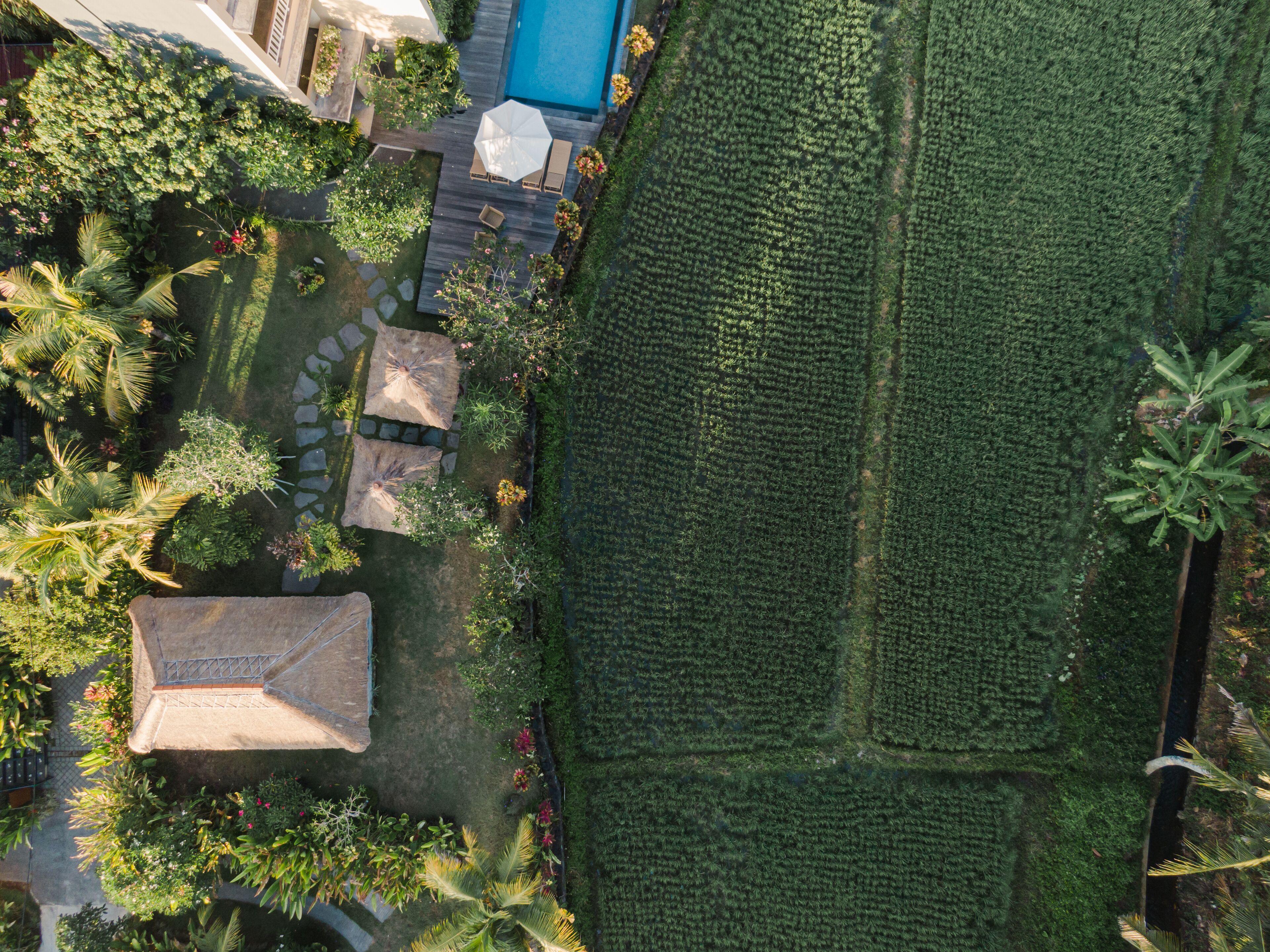 Garden view