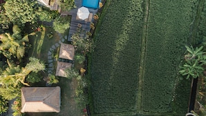 An aerial view of a property with a swimming pool, a garden area with palm trees, and a large green field. - Byasa Ubud (Ubud)