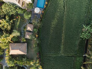 Garden view - Byasa Ubud (Ubud)