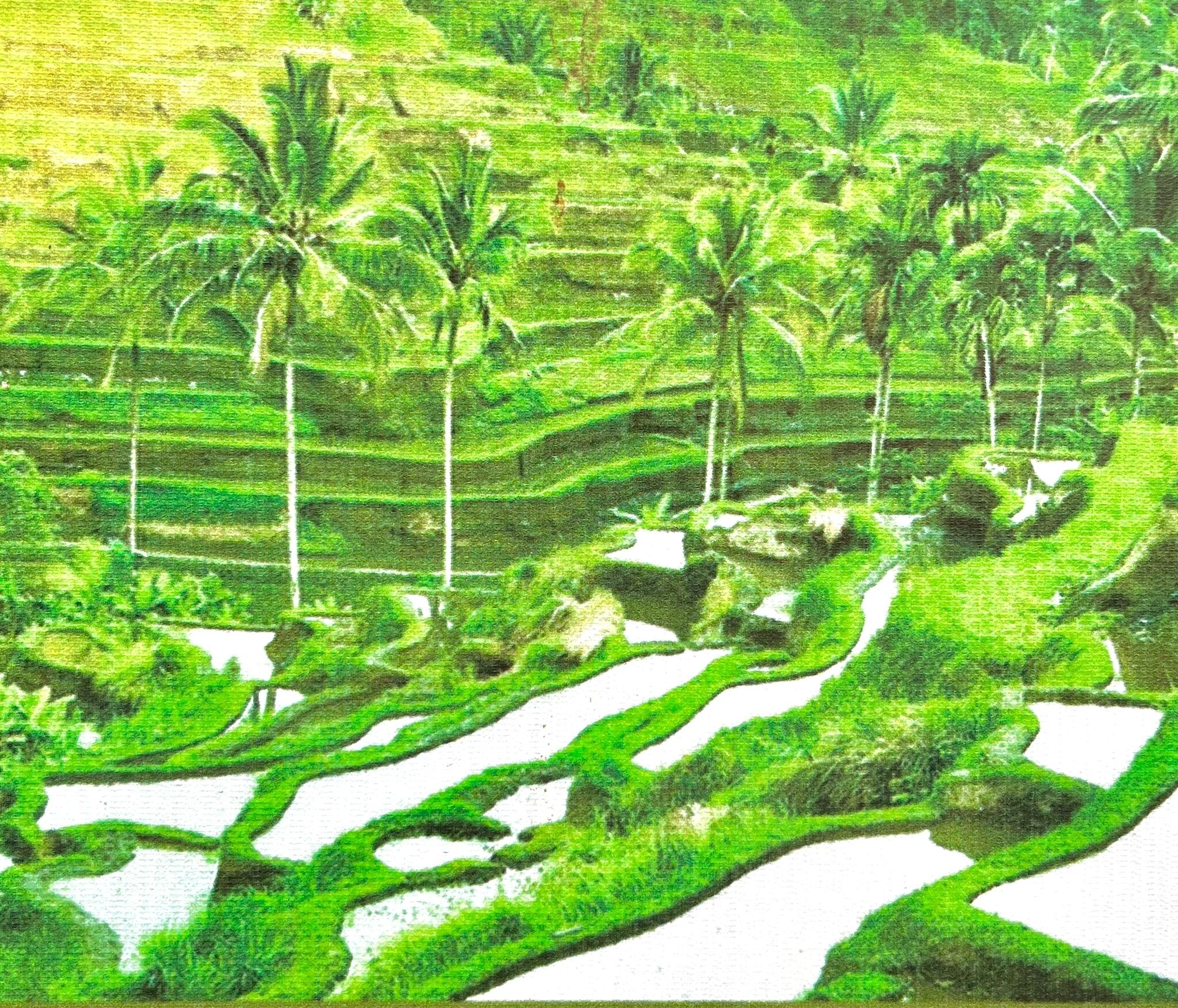 Foto - Angel House Ubud Eco Villa