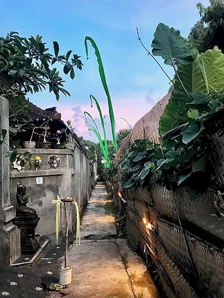 Foto - Angel House Ubud Eco Villa