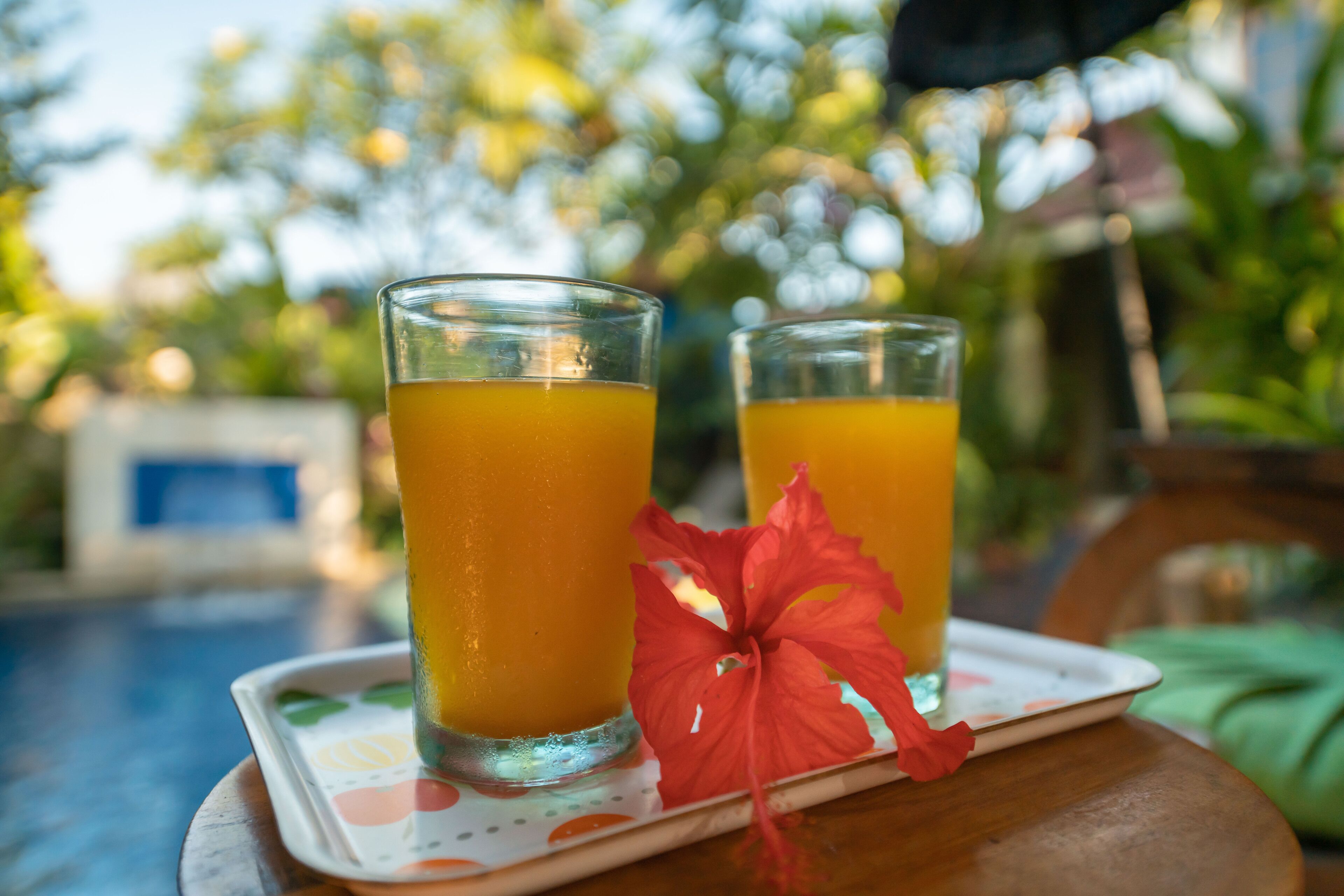 Deux verres de jus d’orange sur un plateau, décoré d’une fleur rouge.