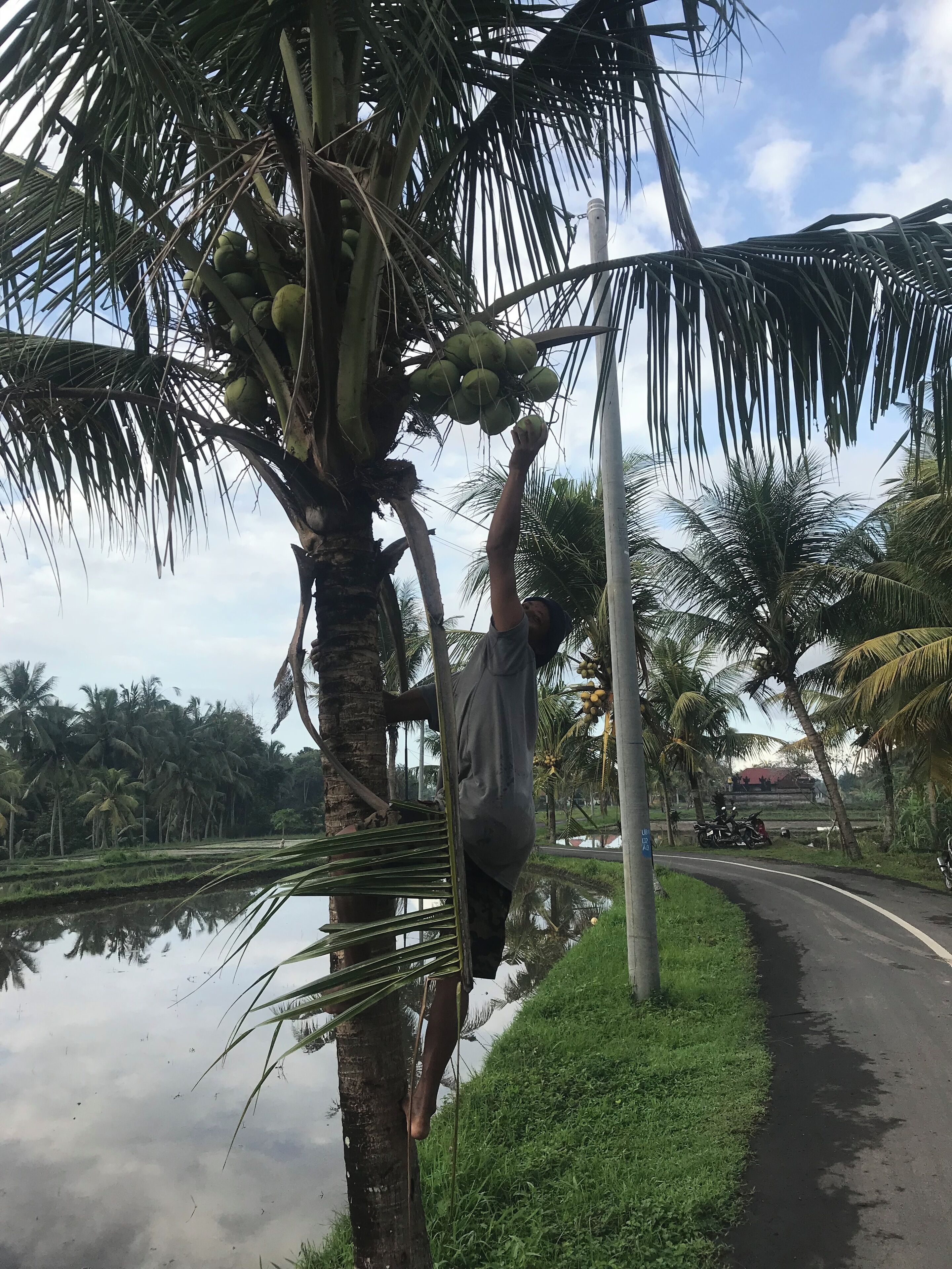 Ekopelancongan