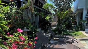 Jardí amb gandules, un camí de pedra i diverses plantes tropicals.
