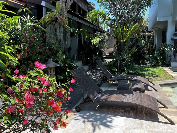 Blick auf den Garten