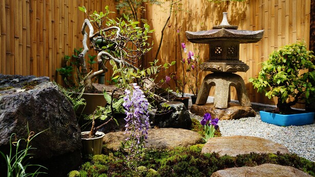 A garden with a stone lantern, rocks, and various plants. - Mulan Hostel (Kyoto)
