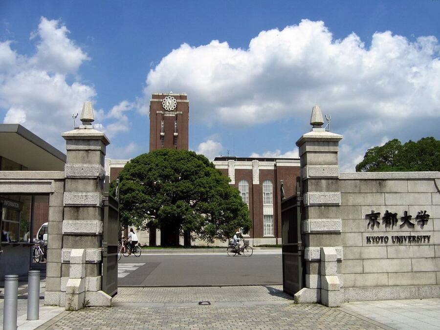 A university entrance with a large tree, a clock tower, and stone pillars with inscriptions.