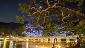 A night scene with a bridge over water, illuminated by artificial lights, and a large tree in the foreground.