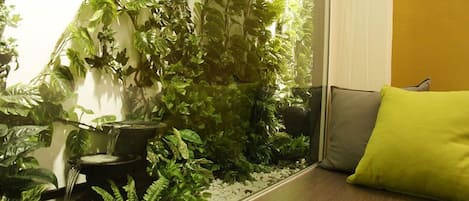 Vista desde la habitación