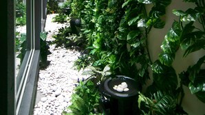 A narrow corridor with a vertical garden on one side and a window on the other. - City Edge Hotel (Kuala Lumpur)