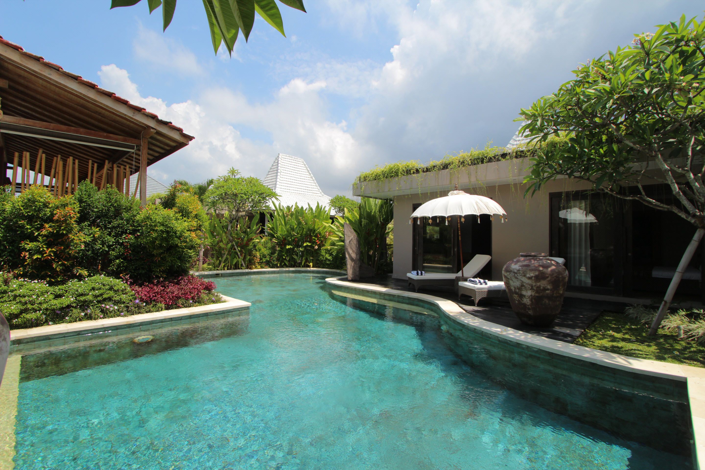 A swimming pool with a curved design, surrounded by lush greenery and a wooden structure.