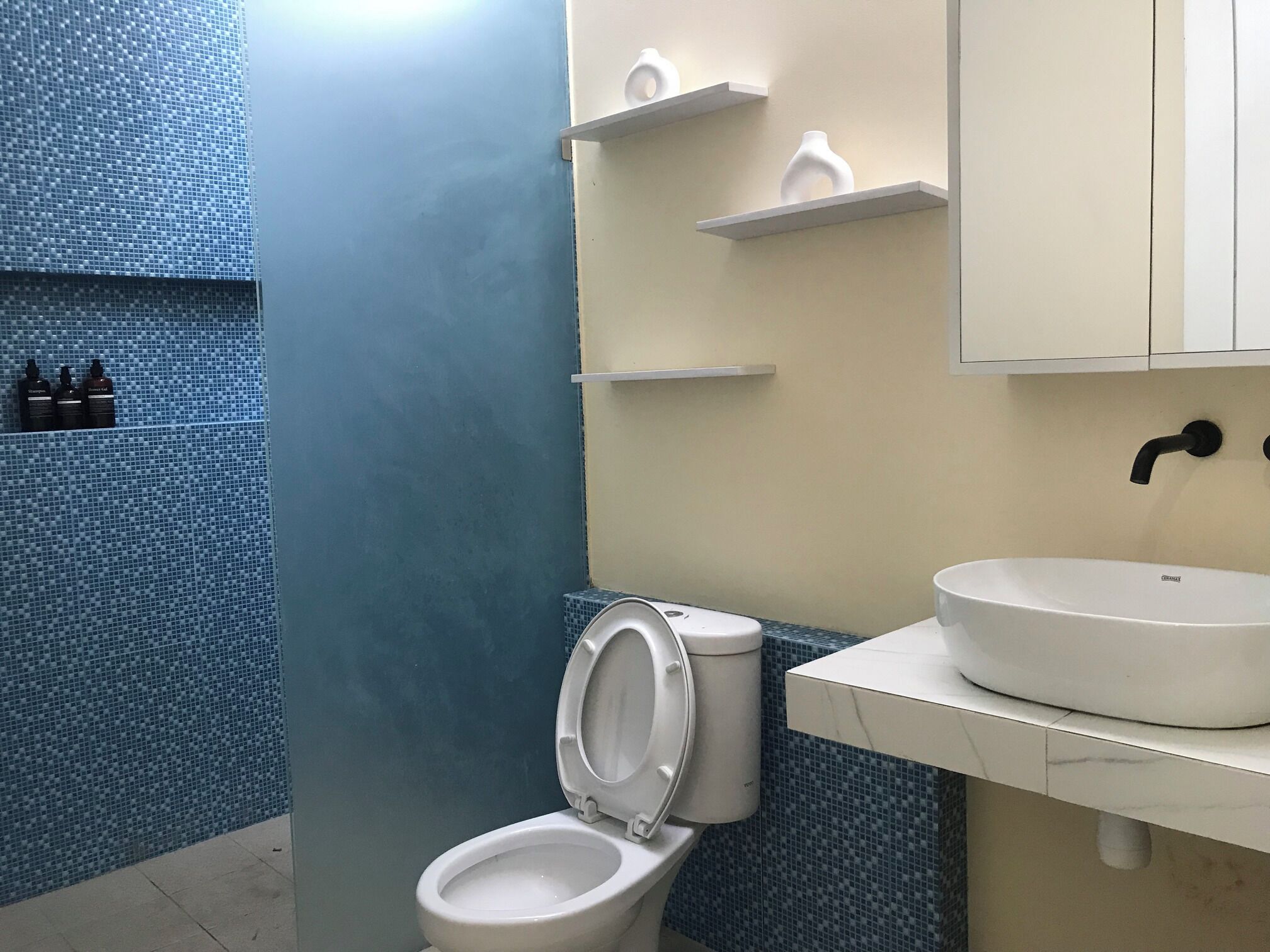 Un bagno con il water, un lavandino e mensole con articoli da toilette.