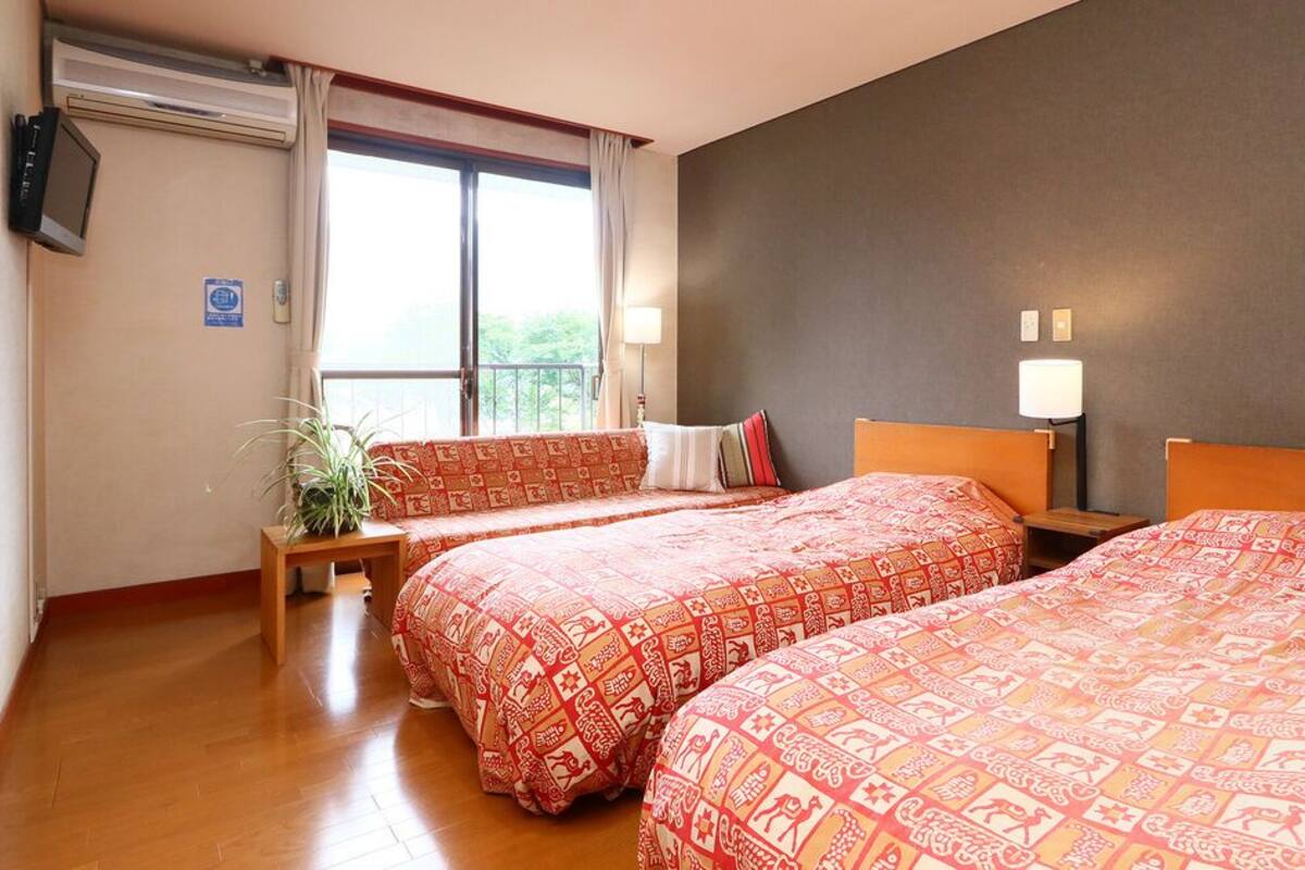 A hotel room with two beds, a TV, a window with curtains, a bedside table, and a potted plant.