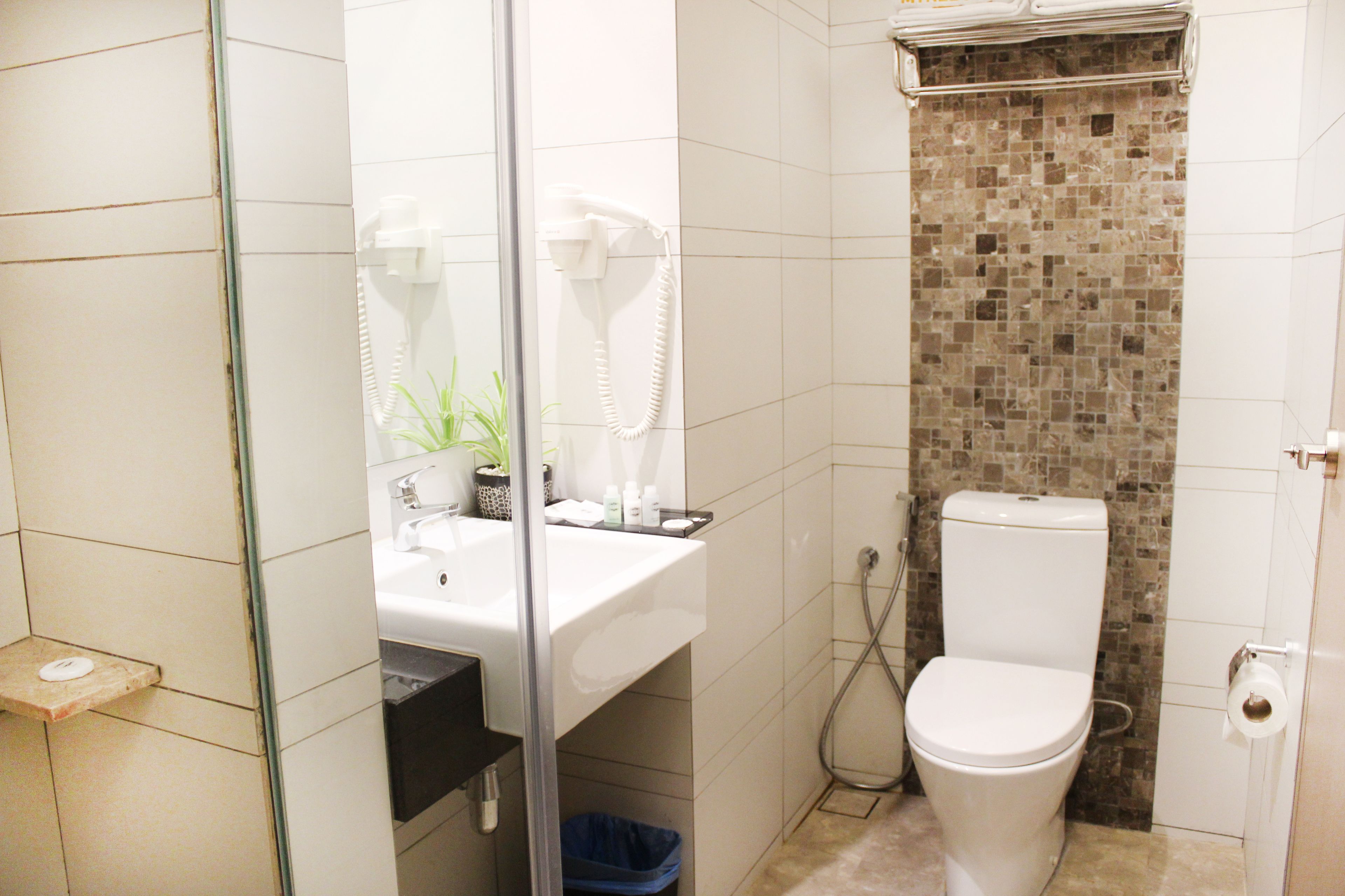 shower, free toiletries, hair dryer, towels