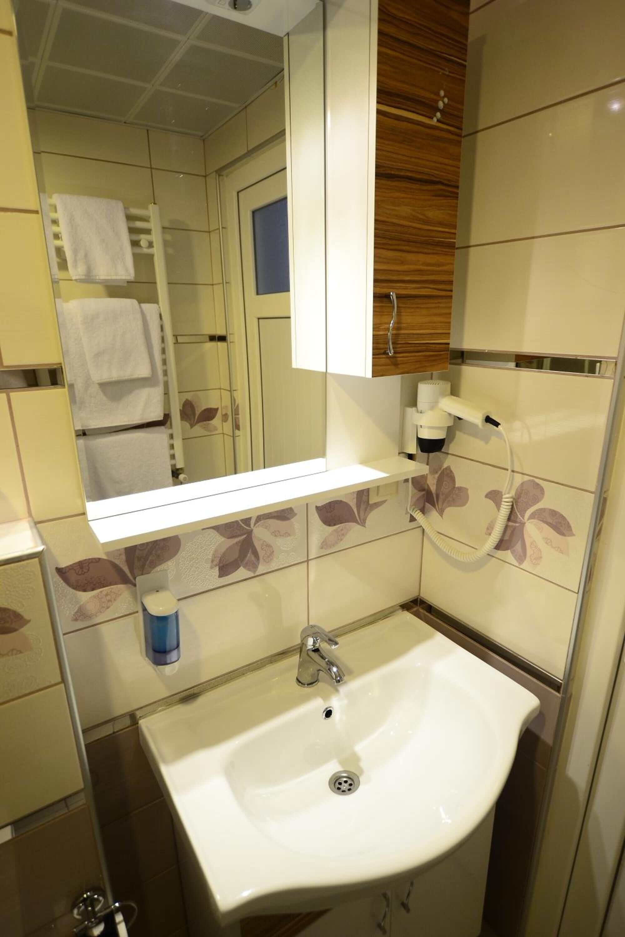 shower, free toiletries, hair dryer, slippers