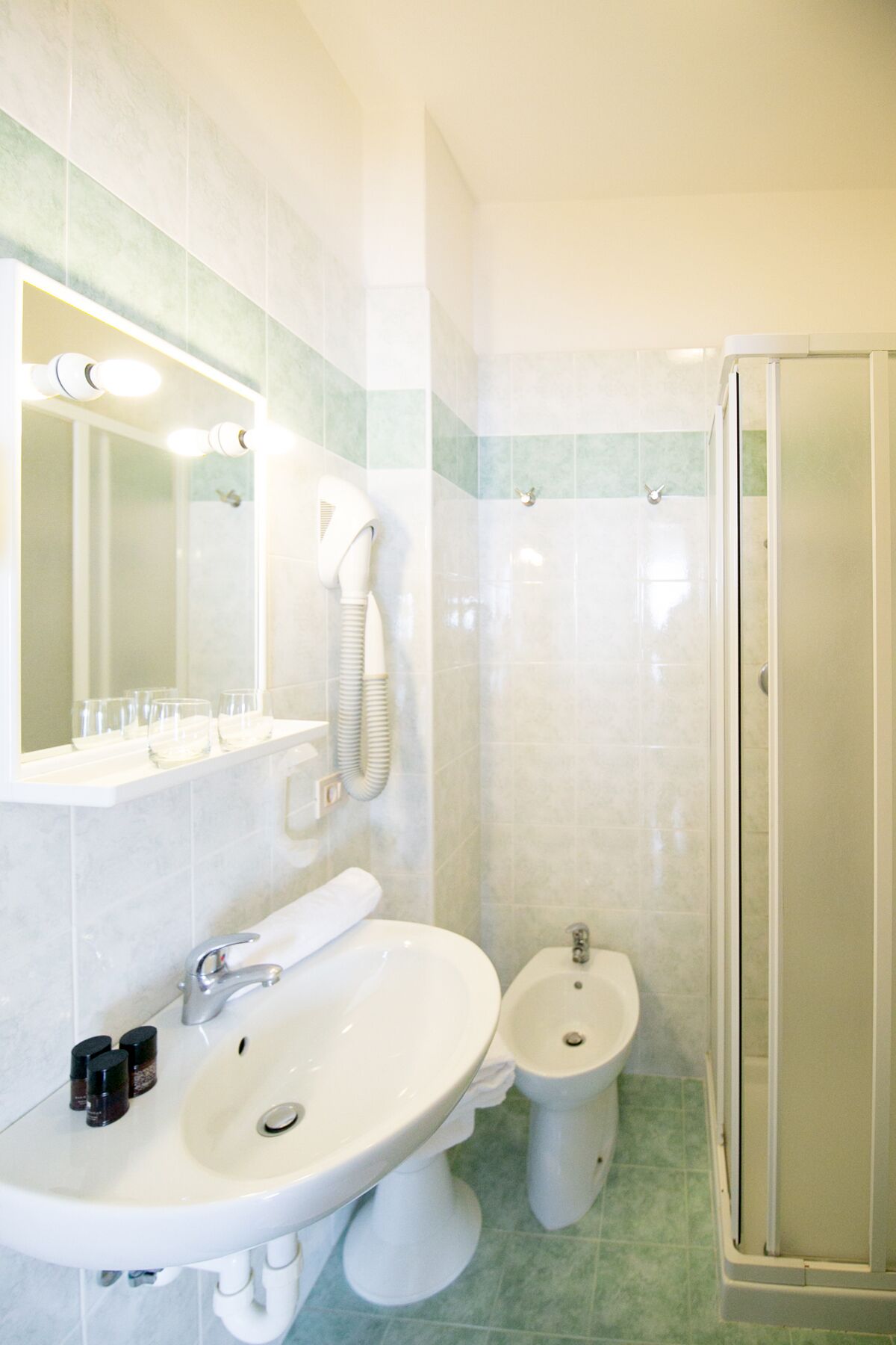 shower, free toiletries, hair dryer, bidet