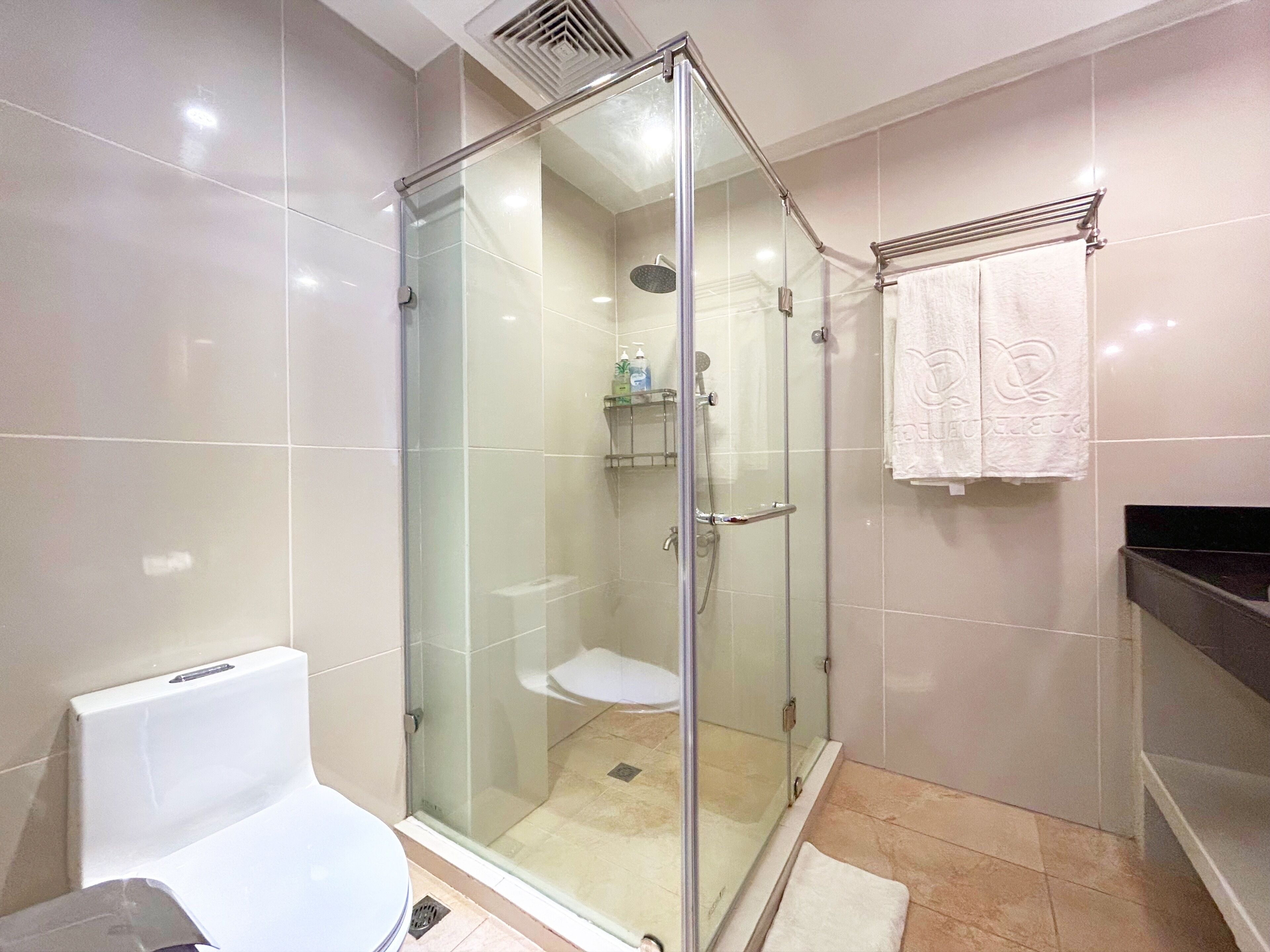 Un baño moderno con ducha envuelta en vidrio, inodoro y lavamanos.