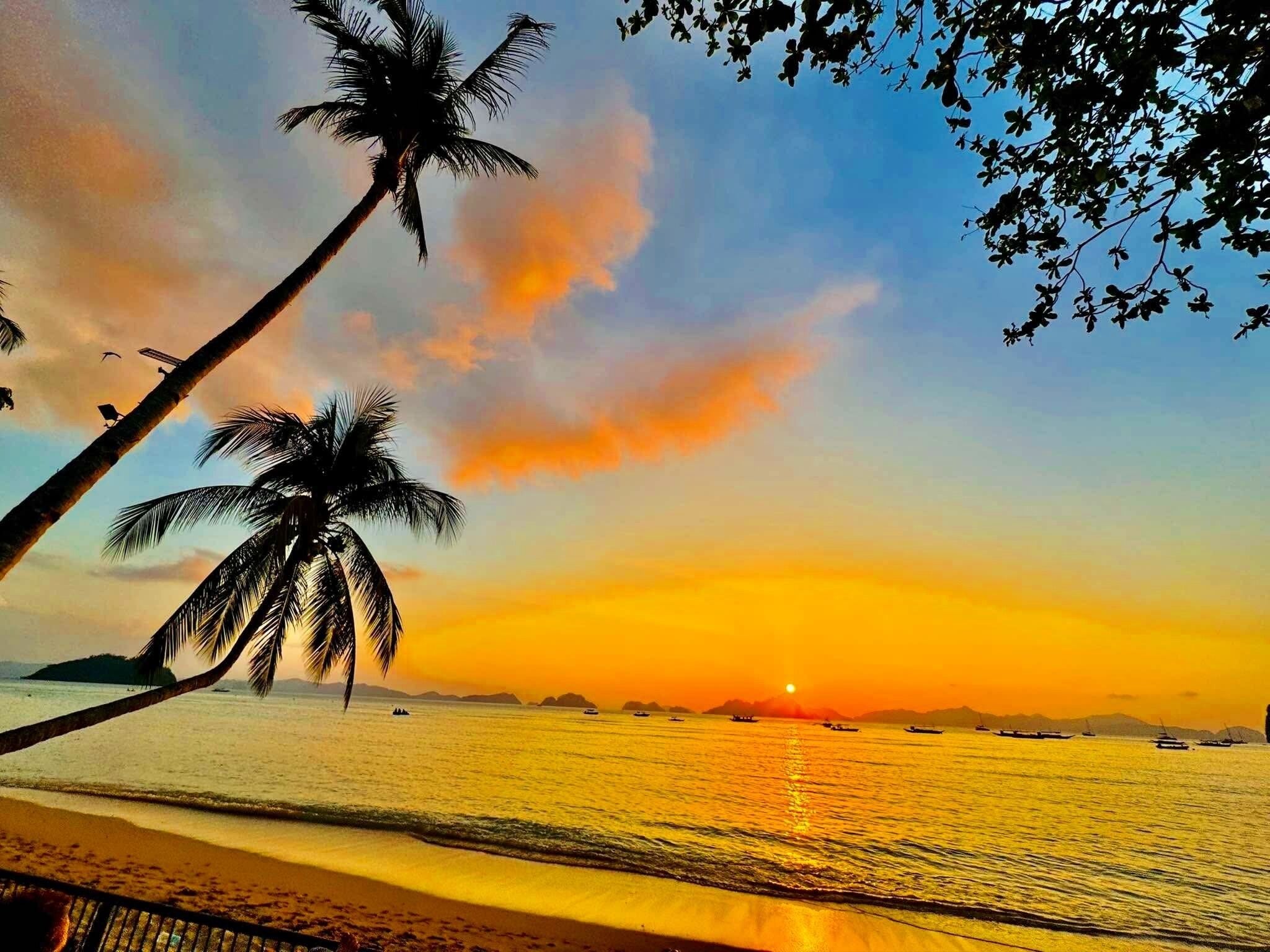 Ein Strand mit Palmen, ruhigem Wasser und einem Sonnenuntergang.