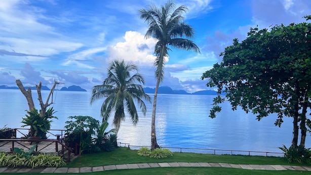 Une piscine avec vue sur la mer et les palmiers.