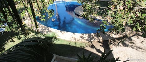 Piscine extérieure, chaises longues