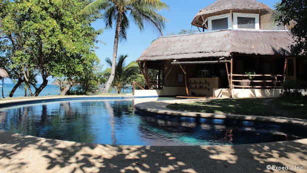 A pool with a thatched-roof structure, surrounded by palm trees and a clear sky. - Cashew Grove Beach Resort (Busuanga)