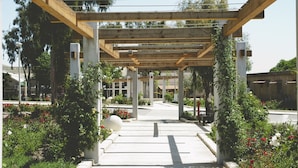 Property grounds - Ein Zivan Tourism (Ein Zivan)