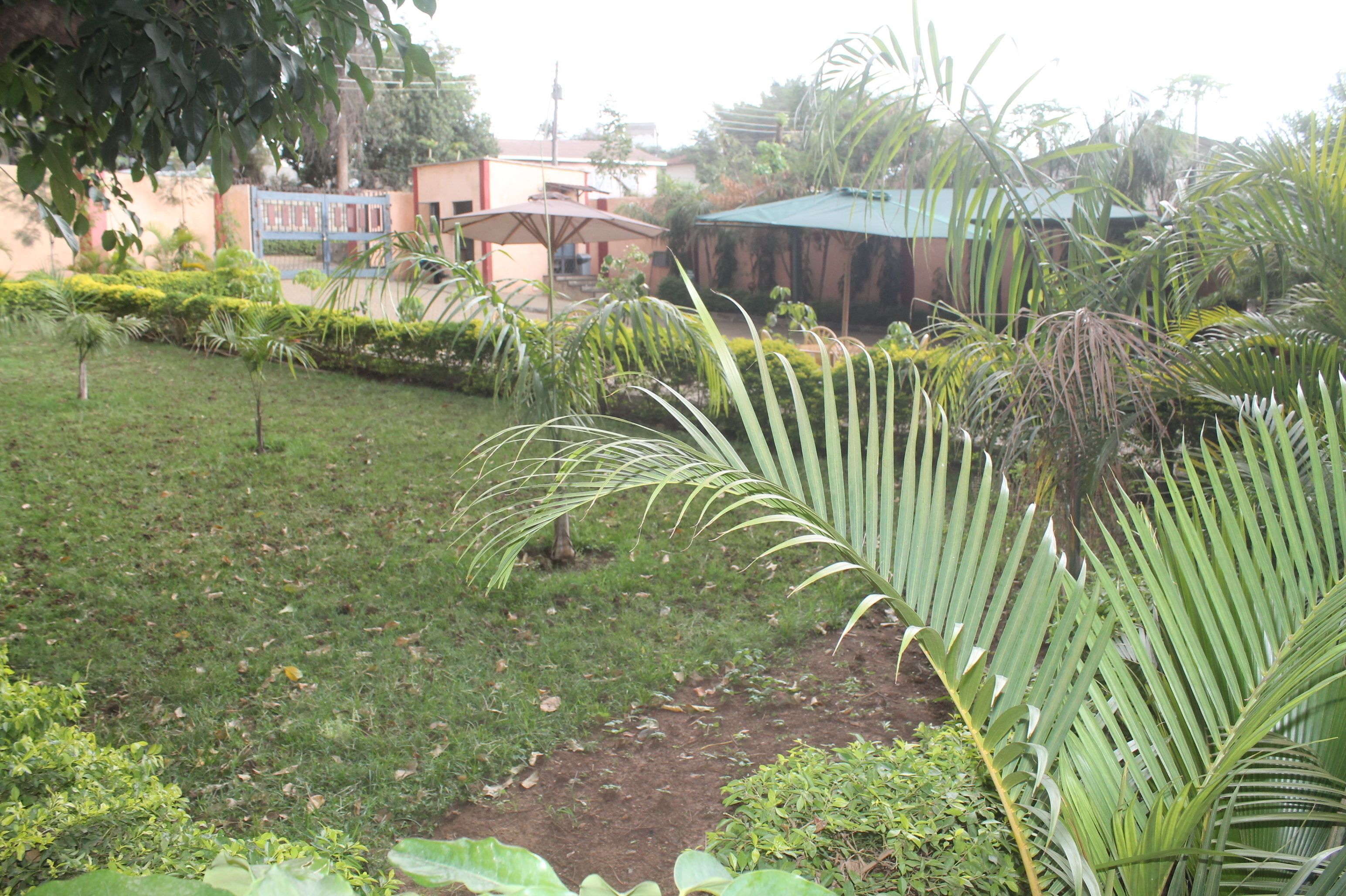 Un jardín con diversas plantas y un edificio al fondo.
