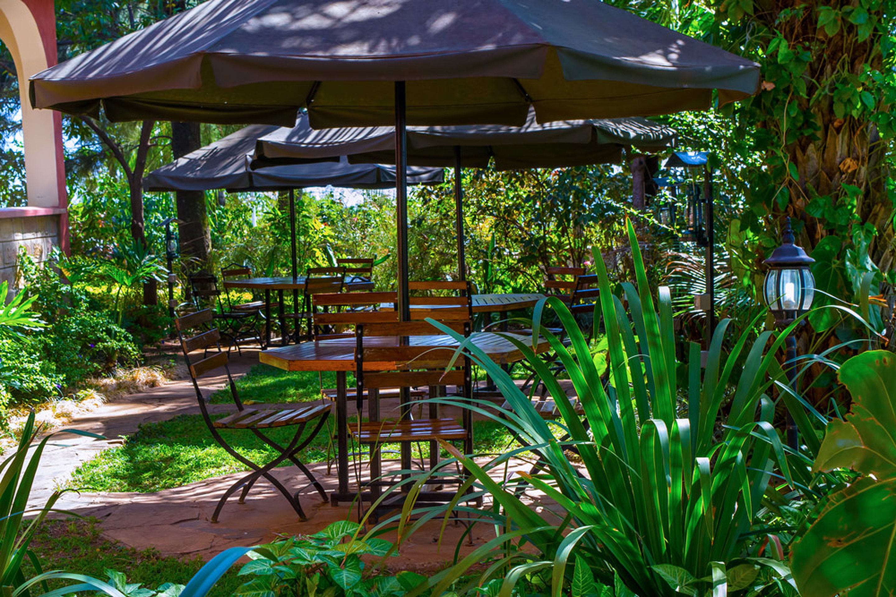 Un patio al aire libre con mesas y sillas de madera, cubierto por sombrillas, rodeado de exuberante vegetación.