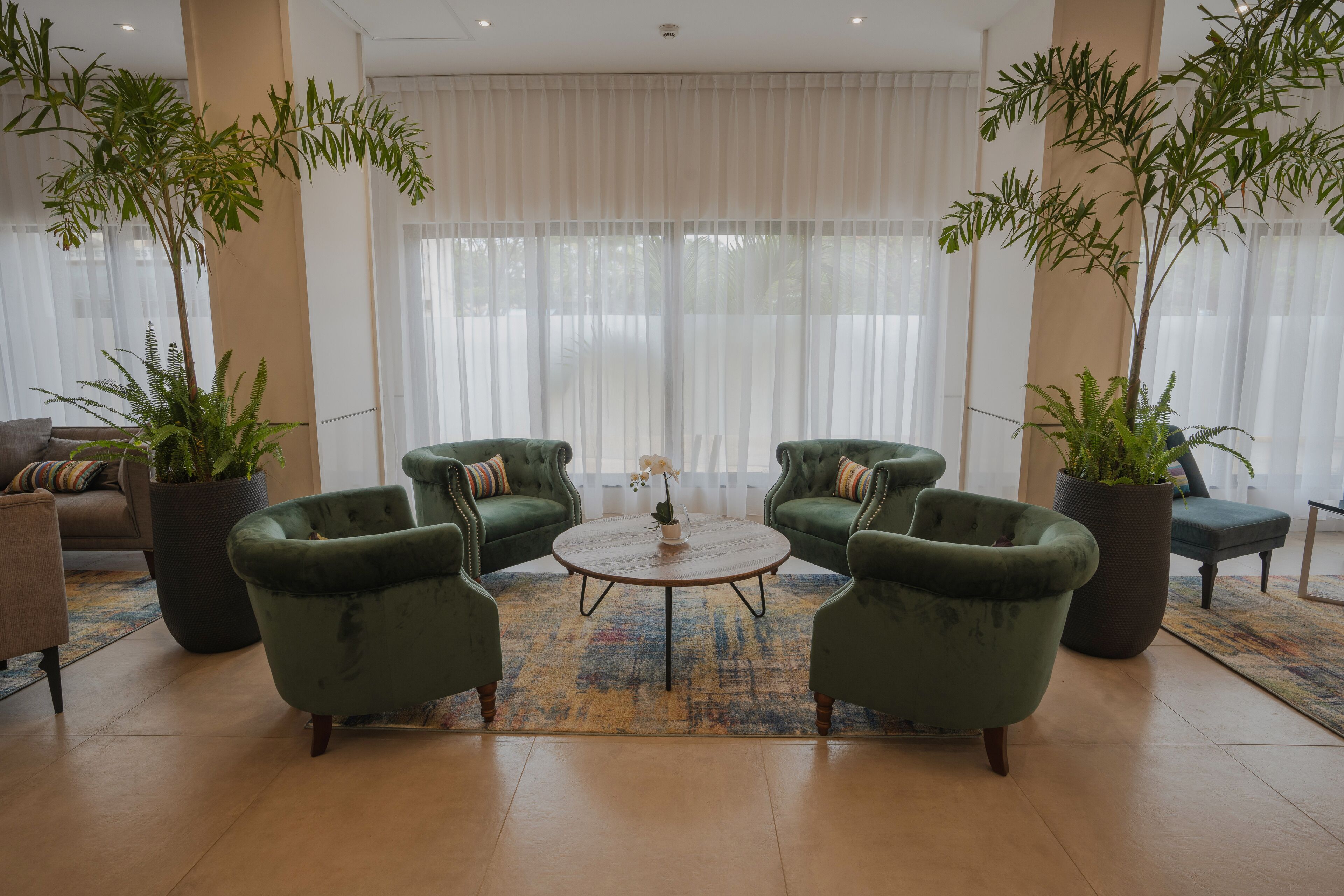 A modern living room with green armchairs, a round coffee table, and large potted plants.