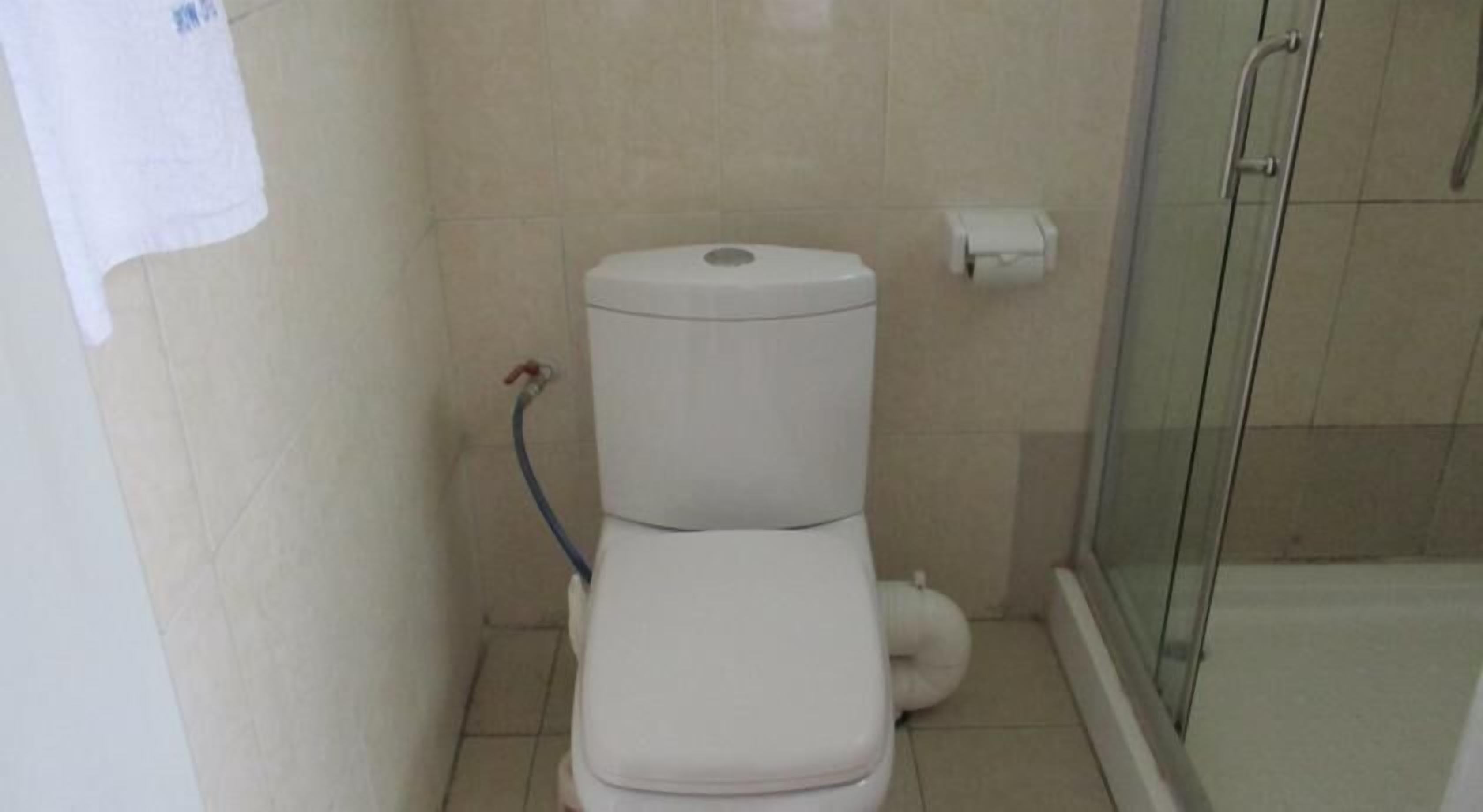 Un bany amb vàter, dutxa i porta de vidre.