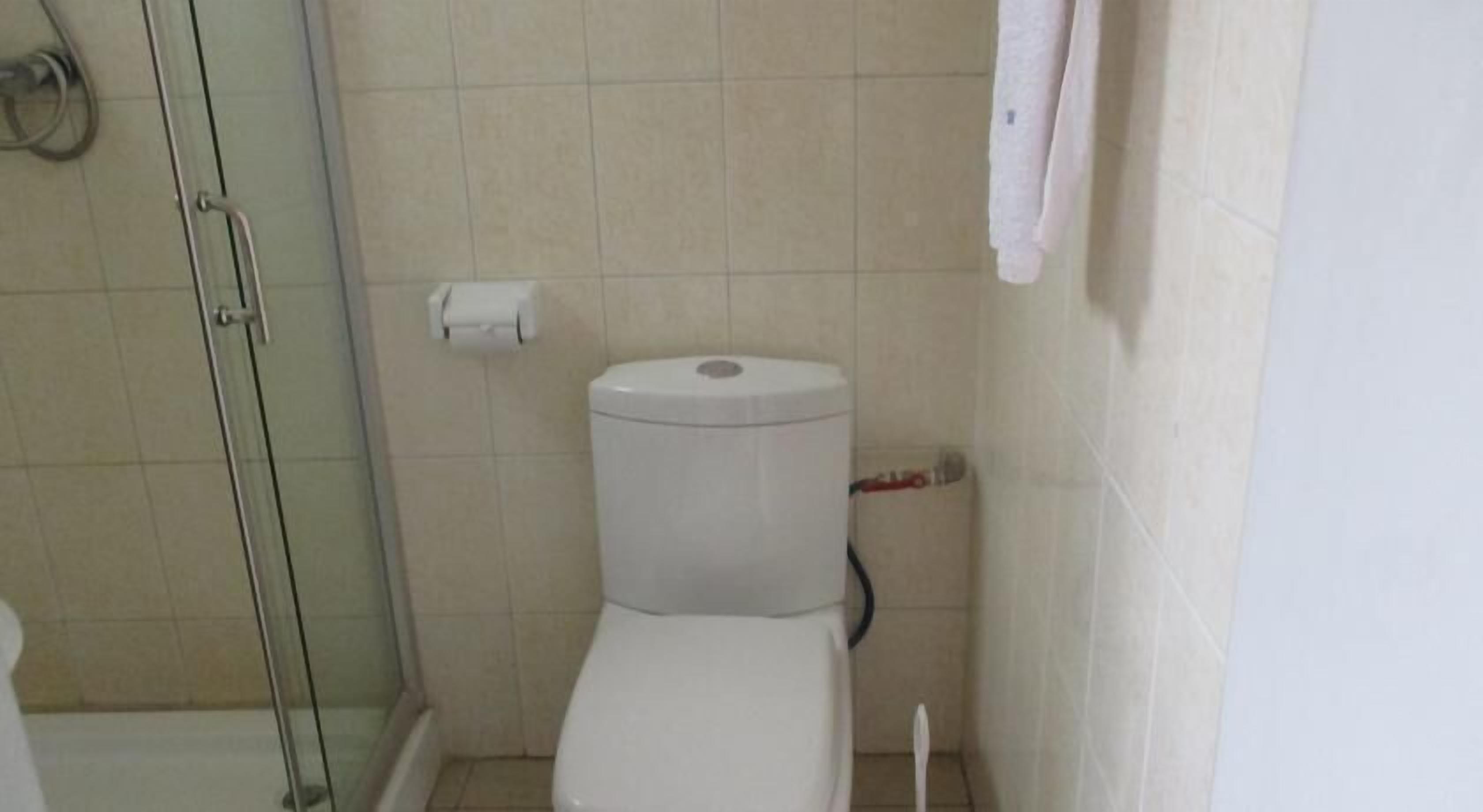 A bathroom with a toilet, a glass shower enclosure, and a towel hanging on the wall.