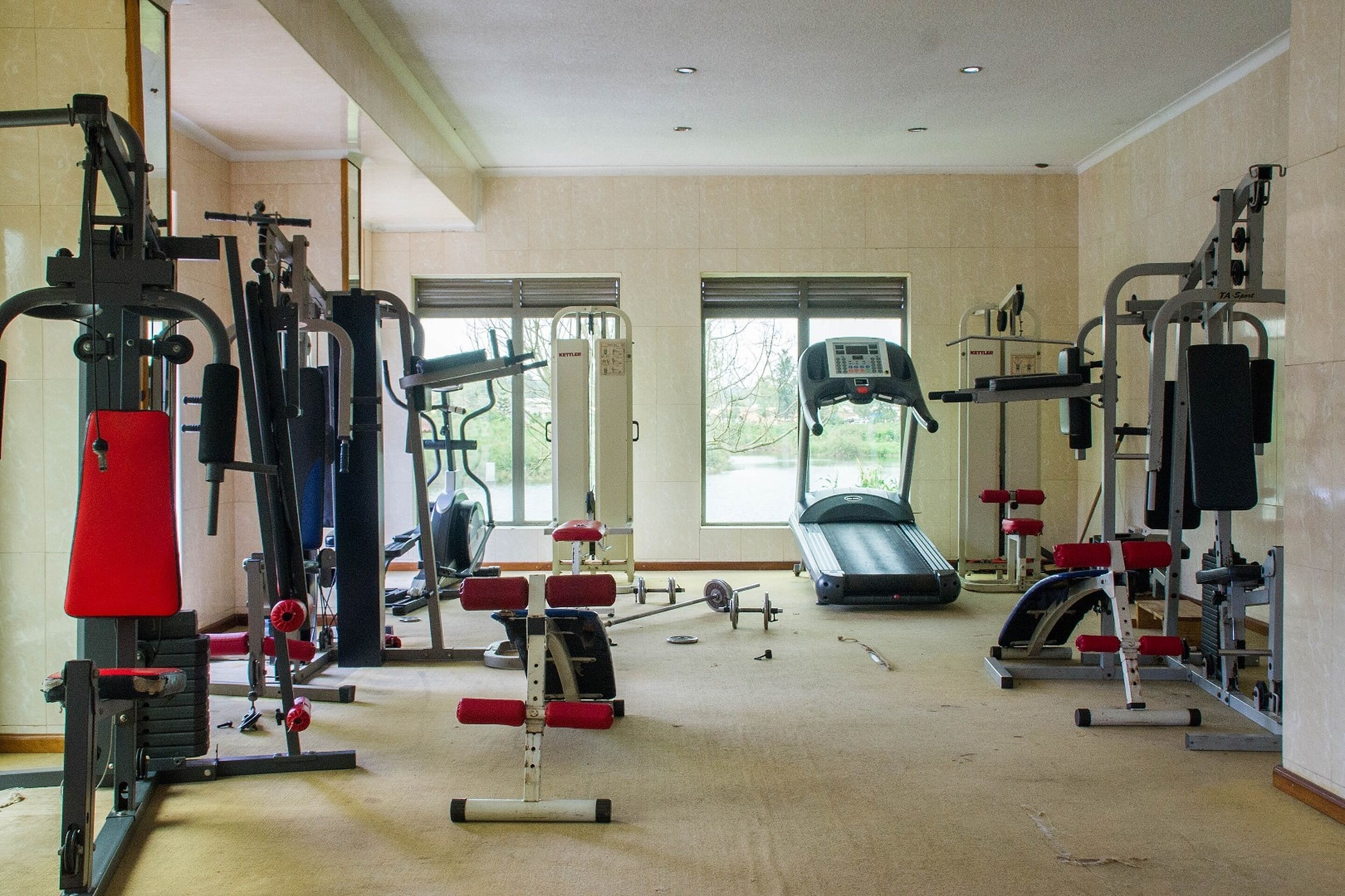 Gimnasium
