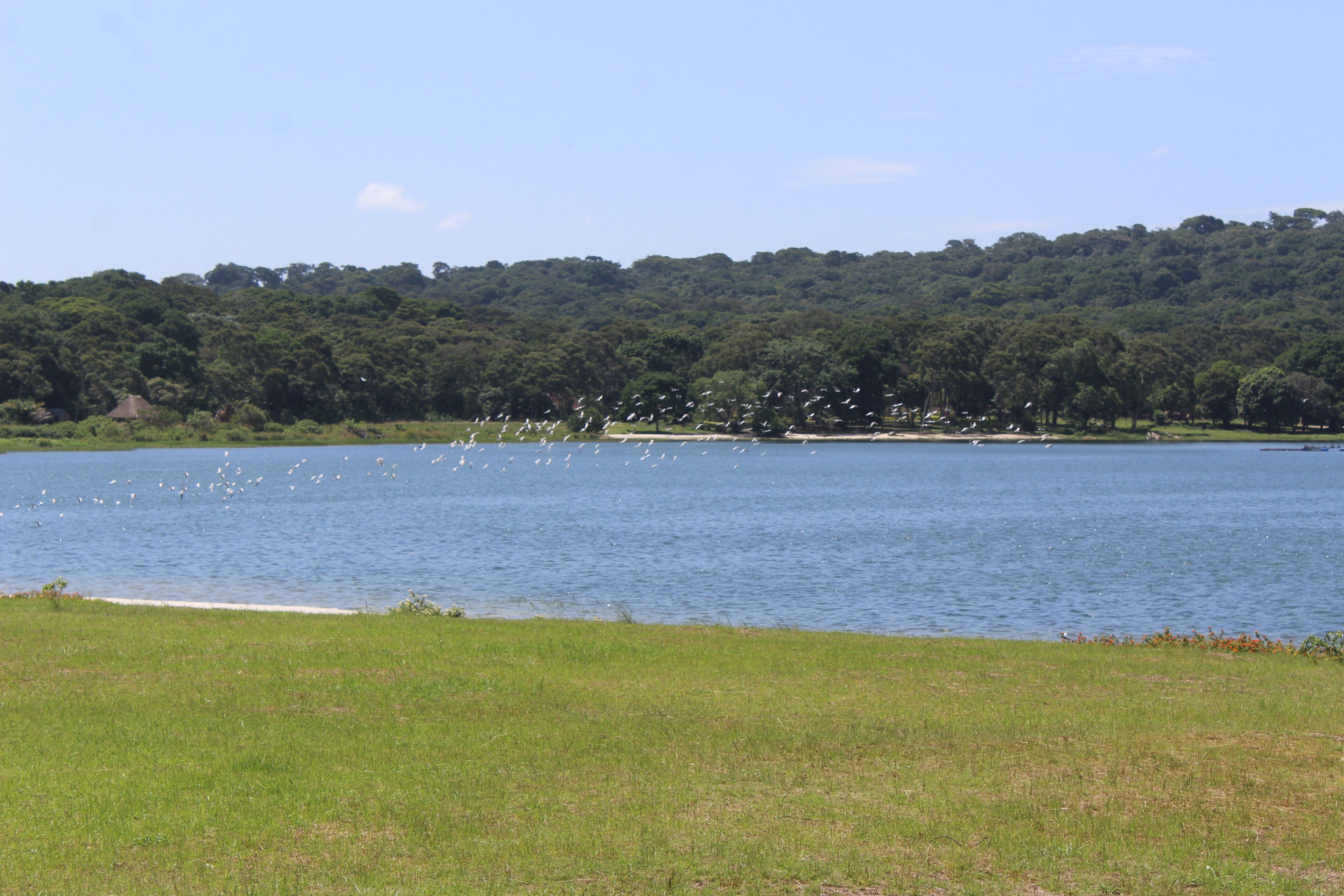 A lake with a grassy foreground and a forested hill in the background.