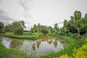Property grounds - Roots Retreat and Camping Resort (Entebbe)