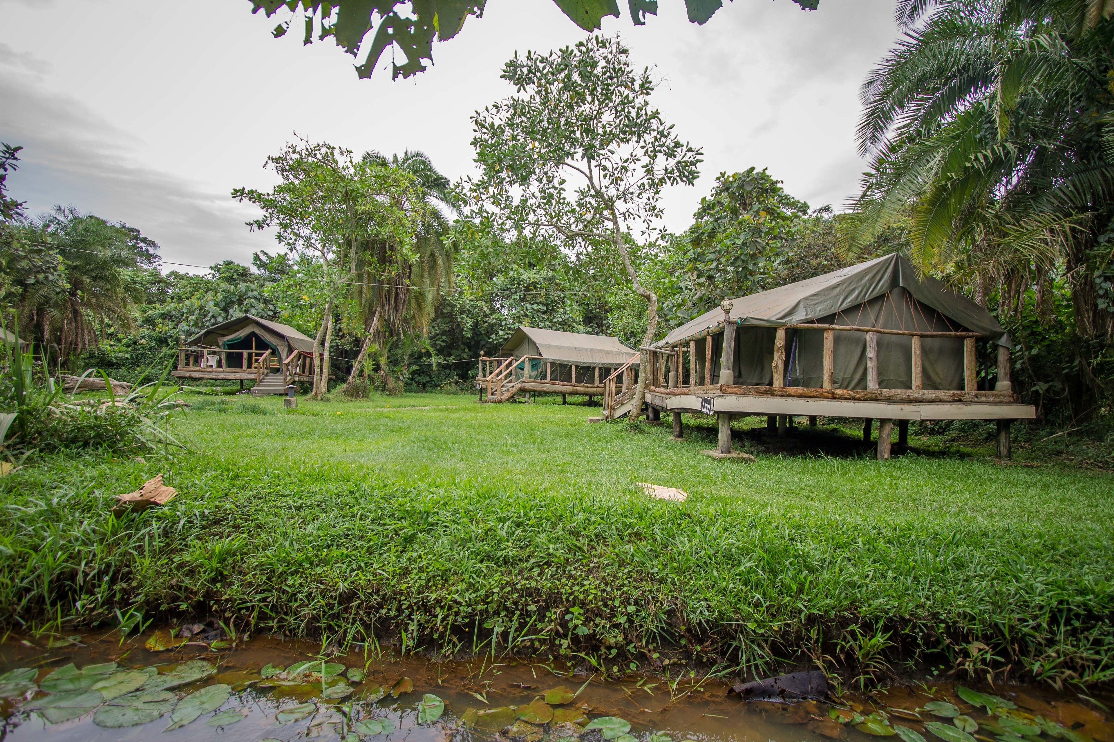 Barraca superior | Berços grátis, Wi-Fi de cortesia, roupa de cama