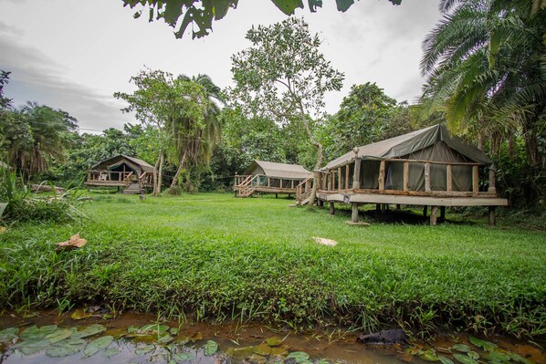 Superior Tent | Free cribs/infant beds, free WiFi, bed sheets - Roots Retreat and Camping Resort (Entebbe)