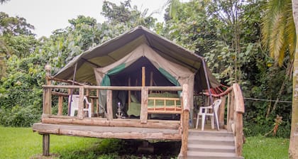 Roots Retreat and Camping Resort