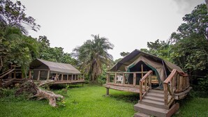 高级帐篷房 | 免费婴儿床、免费 WiFi、床单
