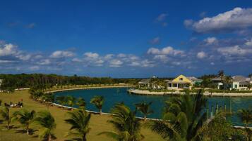 A coastal property with a pool, palm trees, and a yellow house.