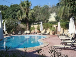 A swimming pool with lounge chairs and umbrellas, surrounded by greenery and a brick pathway.