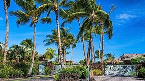 Een tropisch resort met palmbomen, een verhard pad en een toegangspoort.