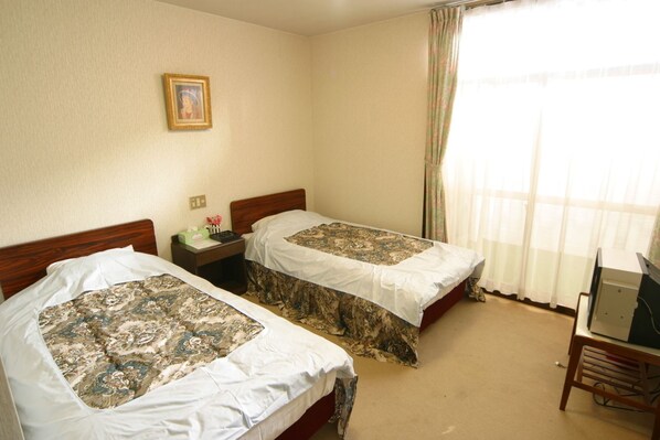In-room safe, free WiFi - Hotel New Bernina (Otari)