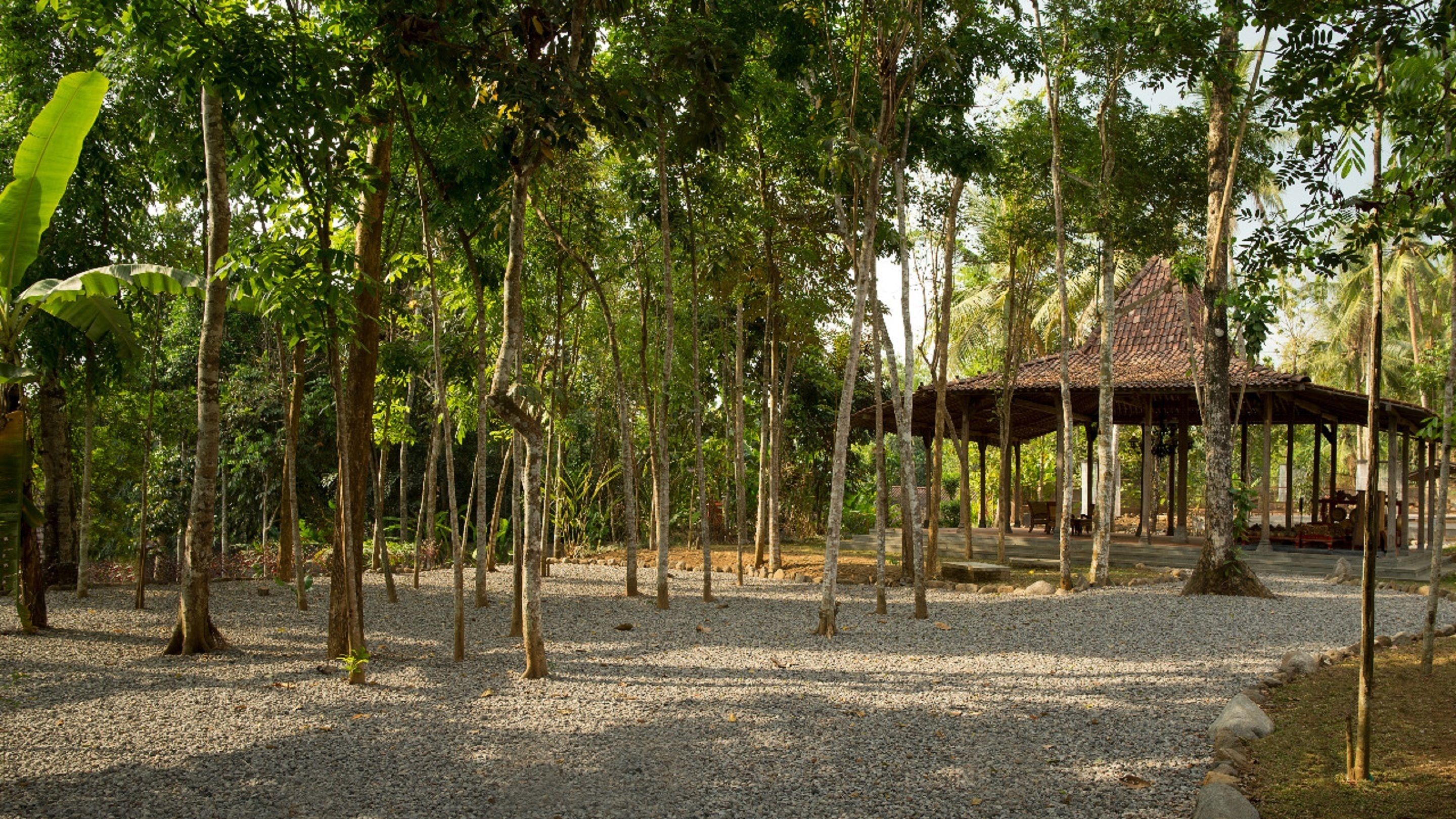 A gazebo in a forested area with gravel ground.