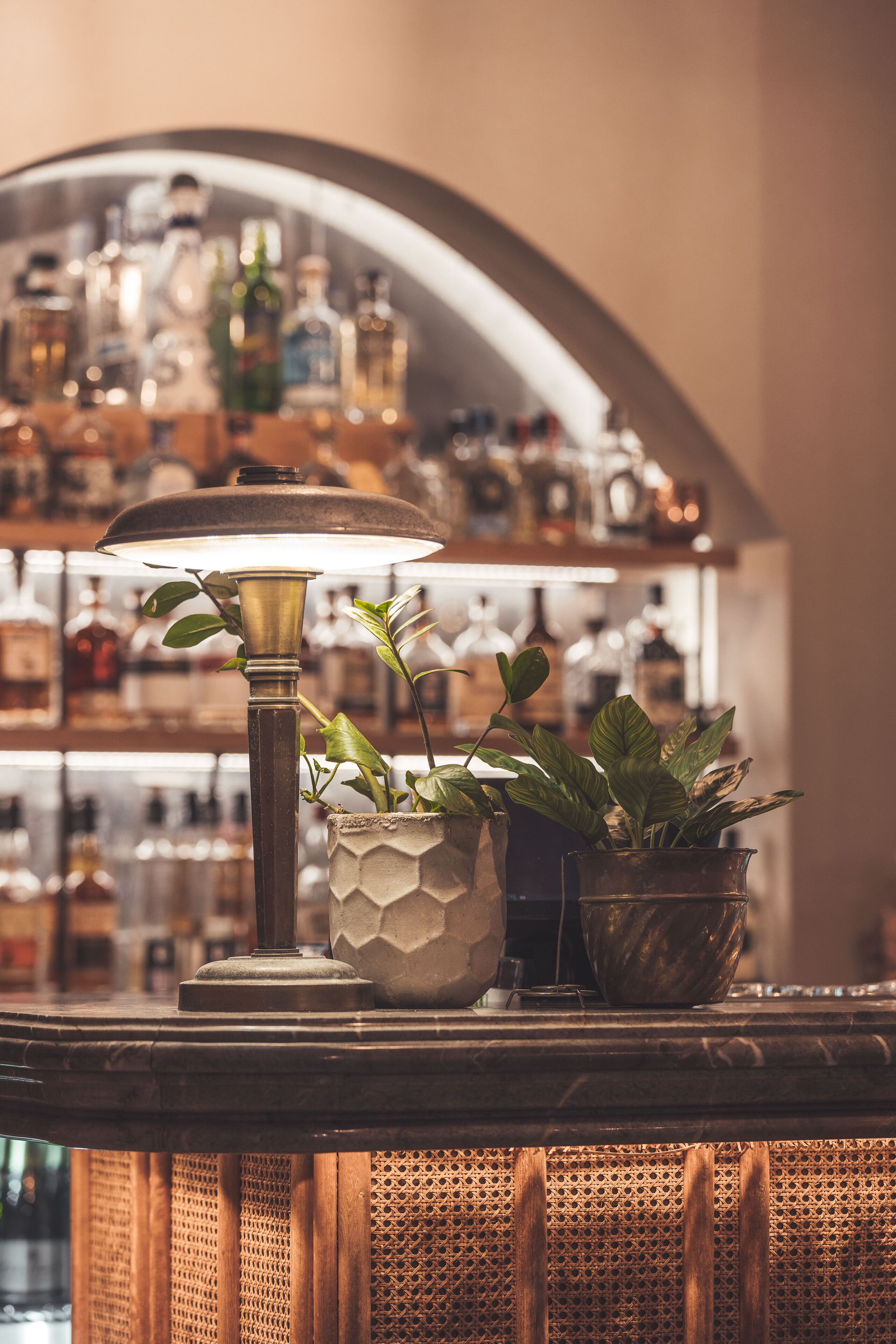 A table with a lamp, two potted plants, and a shelf with various bottles in the background.