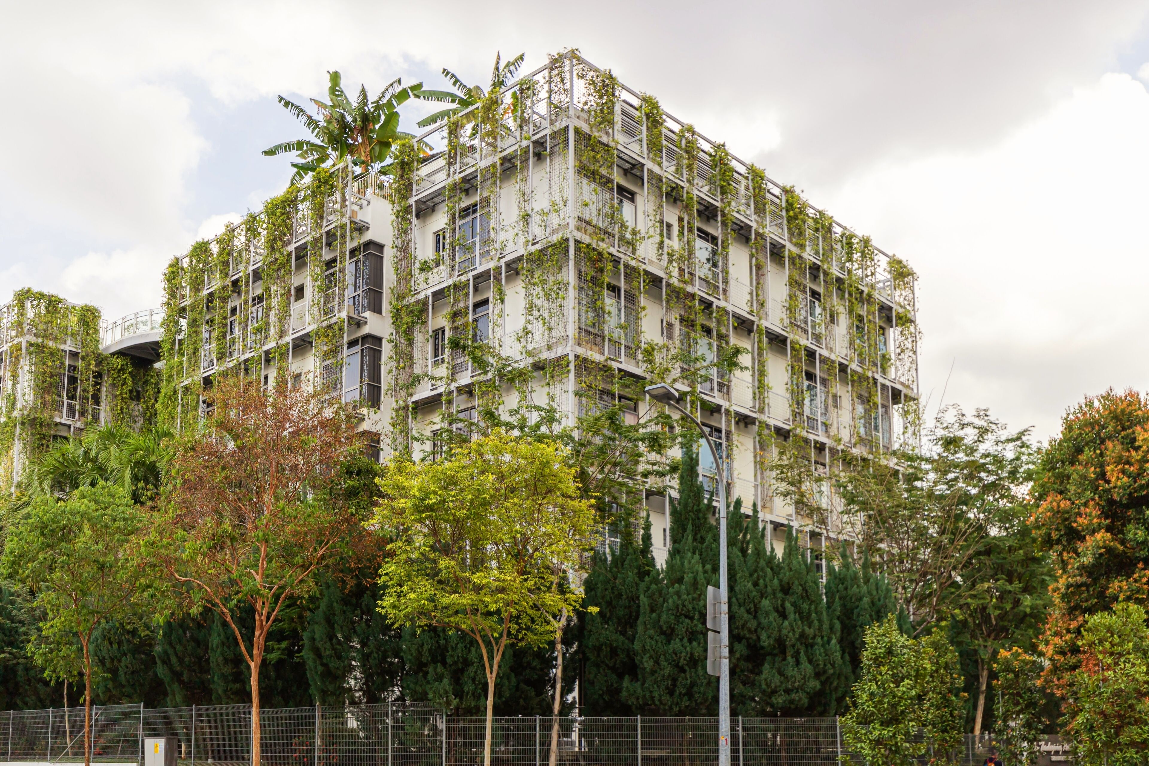 Foto - Oxley Thanksgiving Residence