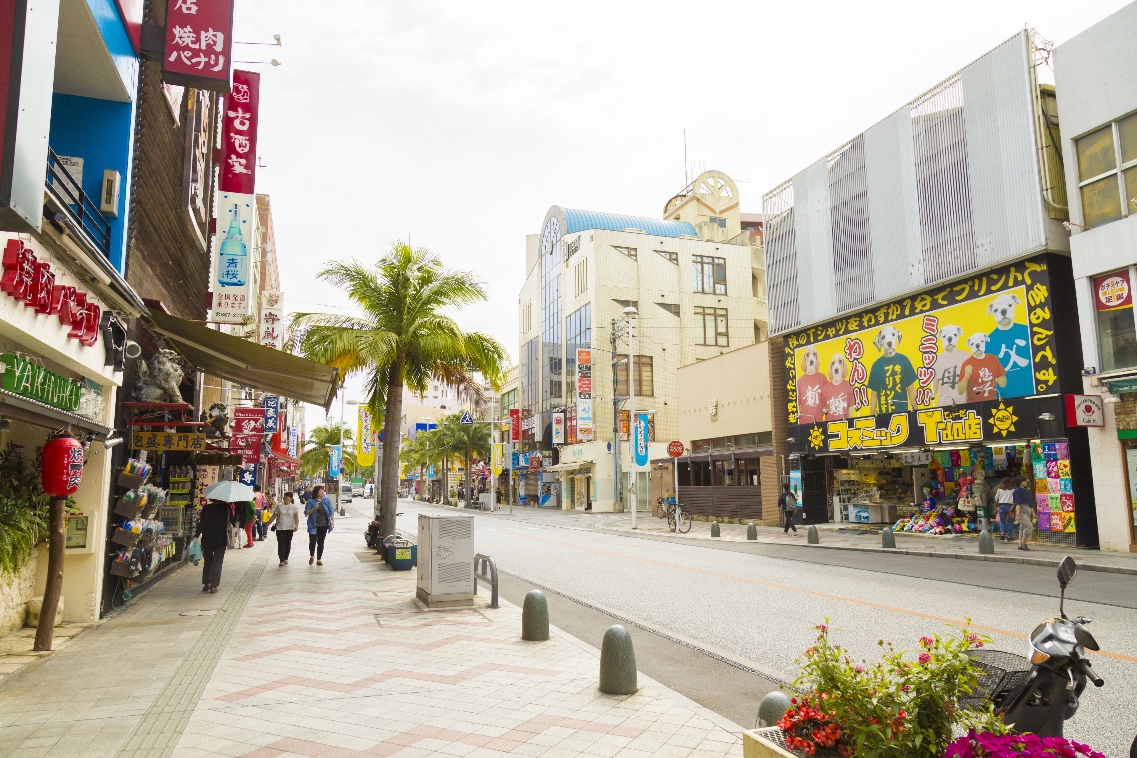 A street with shops, palm trees, and a scooter with flowers.