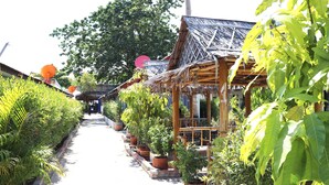 A pathway lined with potted plants leading to a traditional wooden structure with a thatched roof. - Khlong Dao Sunset Villa (Ko Lanta)